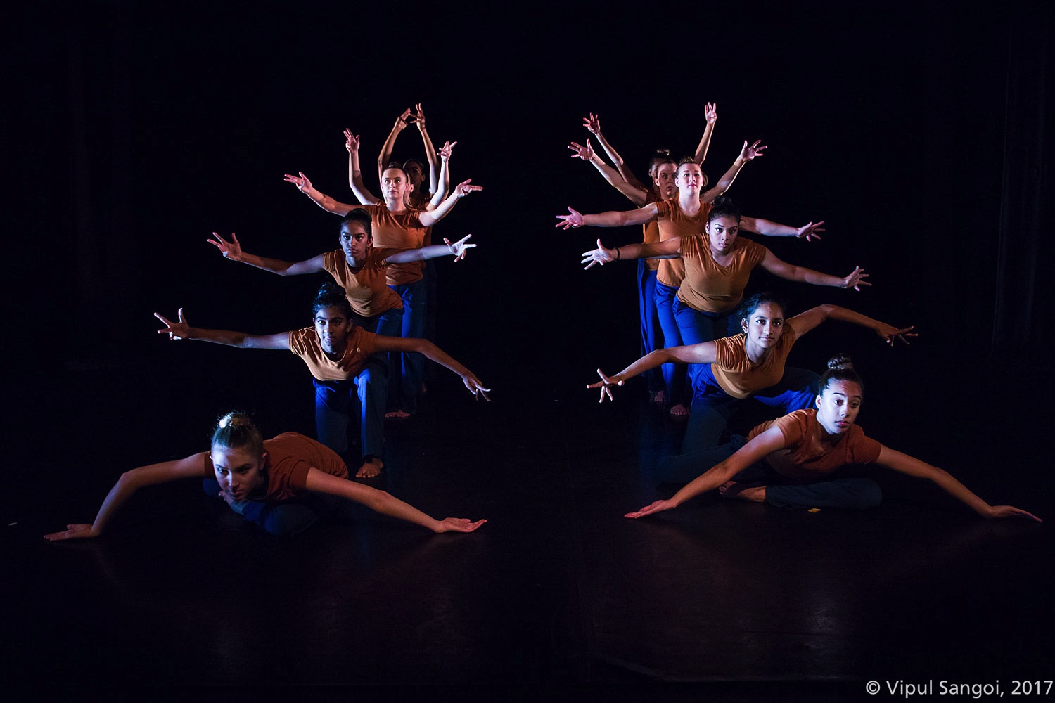 group of twelve performers doing bharatanatyam poses