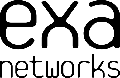 exa networks logo