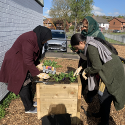 3 women planting flowers in their community garden